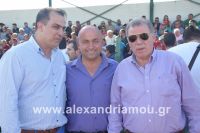 alexandriamou_trikala_a.e2016027