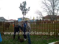 alexandriamou_trikala15