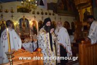 alexandriamou_trikala_perifora0067