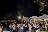 alexandriamou_trikala_anamma_dentroy20160021