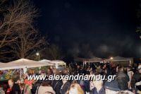 alexandriamou_trikala_anamma_dentroy20160022