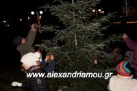 alexandriamou_trikala_anamma_dentroy20160026