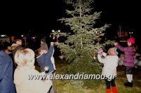 alexandriamou_trikala_anamma_dentroy20160027