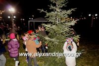 alexandriamou_trikala_anamma_dentroy20160028