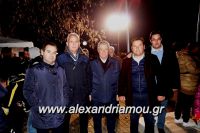 alexandriamou_trikala_anamma_dentroy20160032