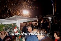 alexandriamou_trikala_anamma_dentroy20160034