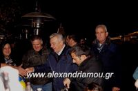 alexandriamou_trikala_anamma_dentroy20160046