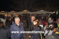 alexandriamou_trikala_anamma_dentroy20160050