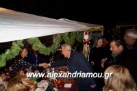 alexandriamou_trikala_anamma_dentroy20160055