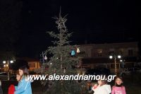 alexandriamou_trikala_anamma_dentroy20160073