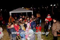 alexandriamou_trikala_anamma_dentroy20160076