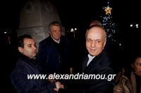 alexandriamou_trikala_anamma_dentroy20160081