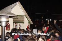 alexandriamou_trikala_anamma_dentroy20160089