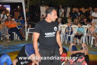 alexandriamou_trikala_pali_hma0007