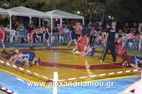 alexandriamou_trikala_pali_hma0056