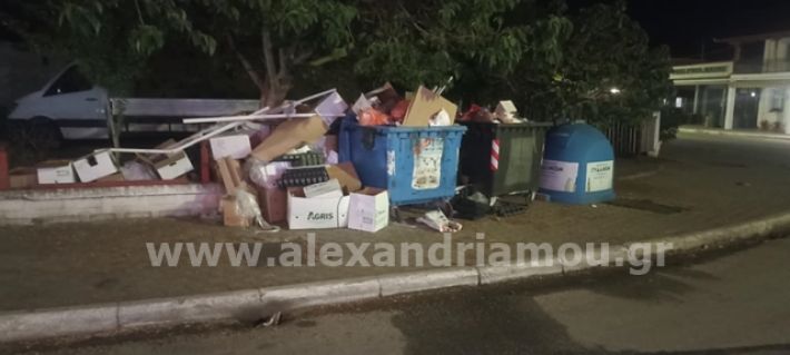 alexandriamou.gr_trikala_lampa8.5001