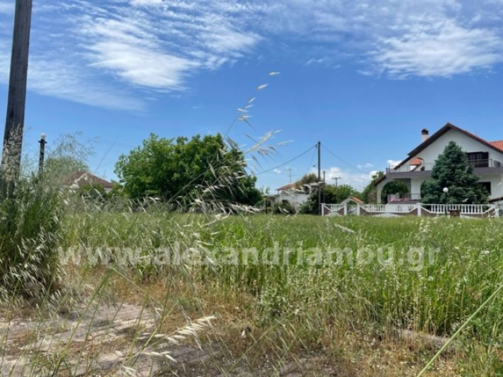alexandriamou.gr_trikala_plateia8.5000