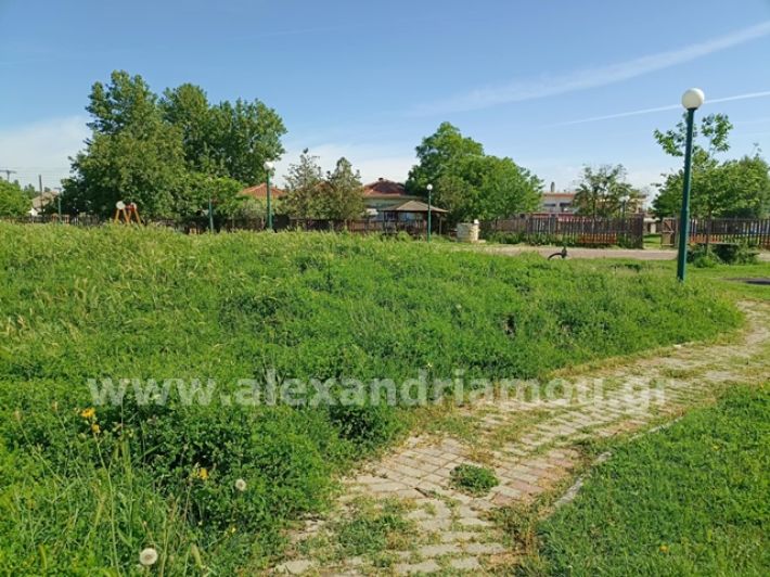 alexandriamou.gr_trikala_plateia8.5001