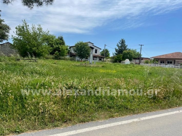 alexandriamou.gr_trikala_plateia8.5002