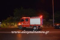 alexandriamou_troxaio03.05.16001