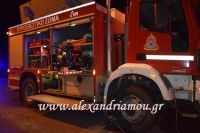alexandriamou_troxaio03.05.16003