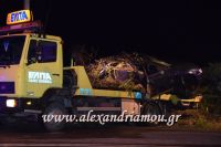 alexandriamou_troxaio03.05.16025