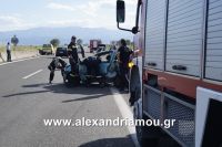 alexandriamoutroxaio15.06.16000135