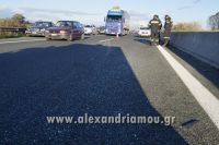 alexandriamou_fotia_troxaio_egnatia0010