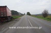 alexandriamou_troxeo11.100001