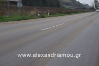 alexandriamou_troxeo11.100007