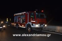 alexandriamou_troxeo170001