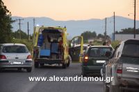 alexandriamou_troxeo180001