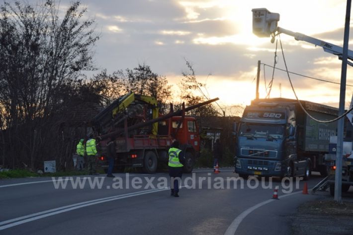 www.alexandriamou.gr_troxeo1721DSC_0238