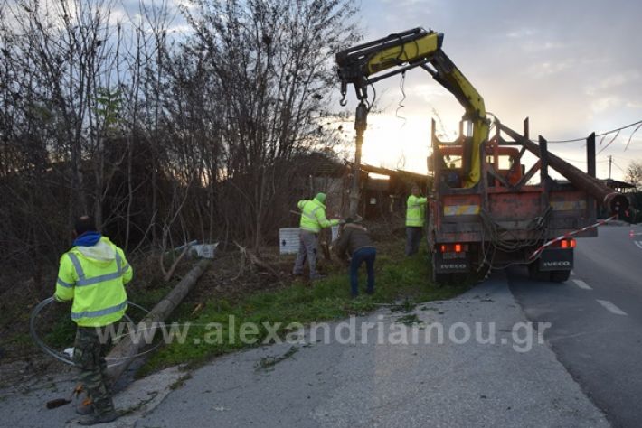 www.alexandriamou.gr_troxeo1721DSC_0249