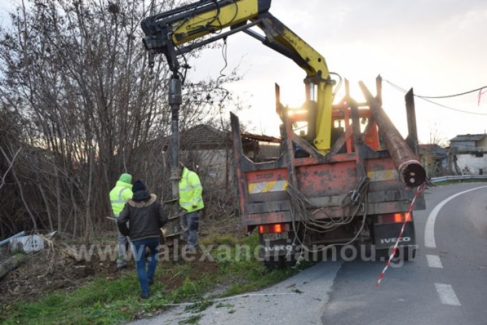 www.alexandriamou.gr_troxeo1721DSC_0255