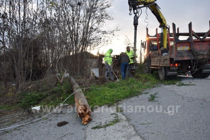 www.alexandriamou.gr_troxeo1721DSC_0256