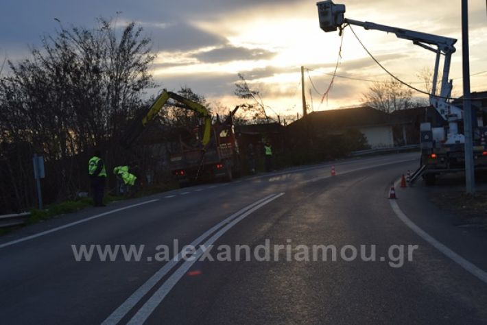 www.alexandriamou.gr_troxeo1721DSC_0259