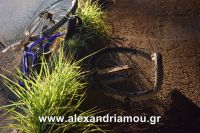 alexandriamou_troxeo20160004