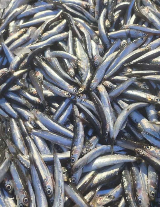 5a667eec-a8a7-4883-928f-be92623b541f