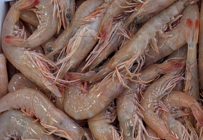 PXL_20251203_062850062.MP