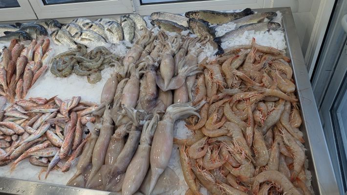 PXL_20251203_063808228.MP