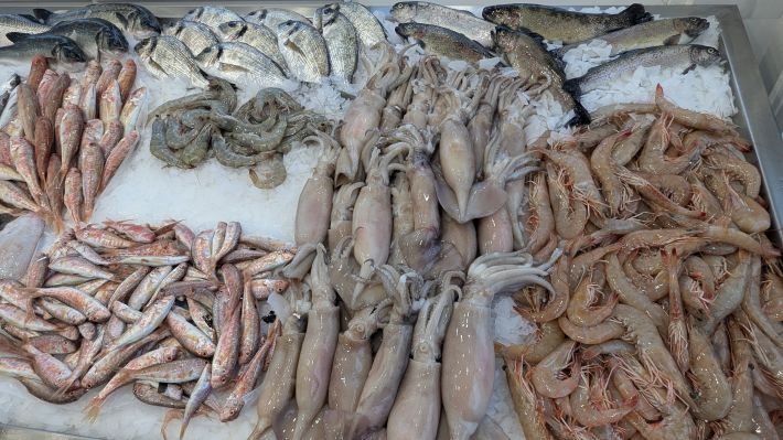 PXL_20251203_063812181.MP