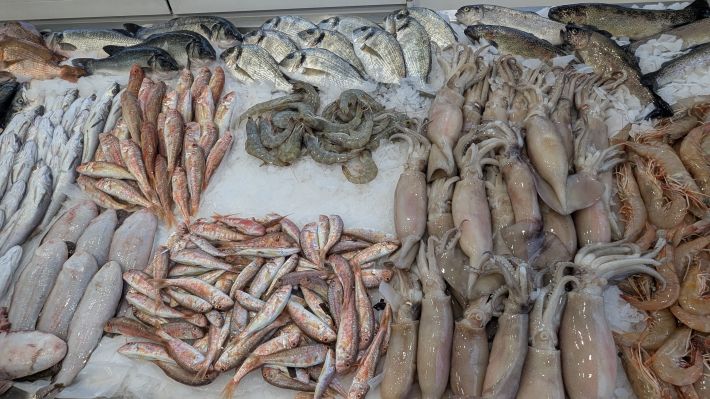 PXL_20251203_063814702.MP