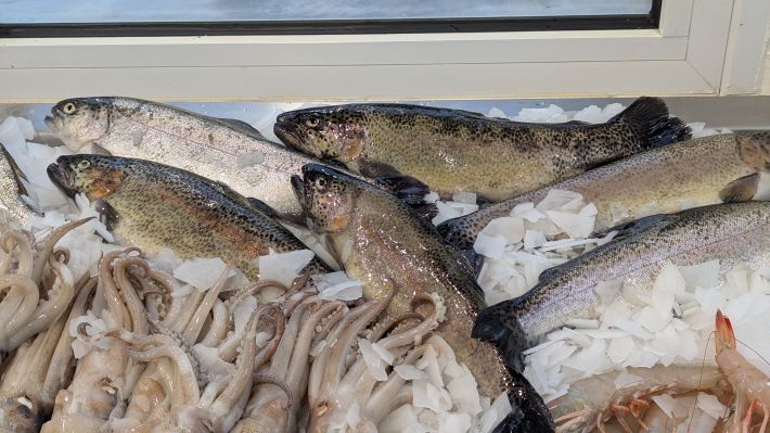 PXL_20251203_063826716.MP