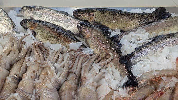 PXL_20251203_063827940