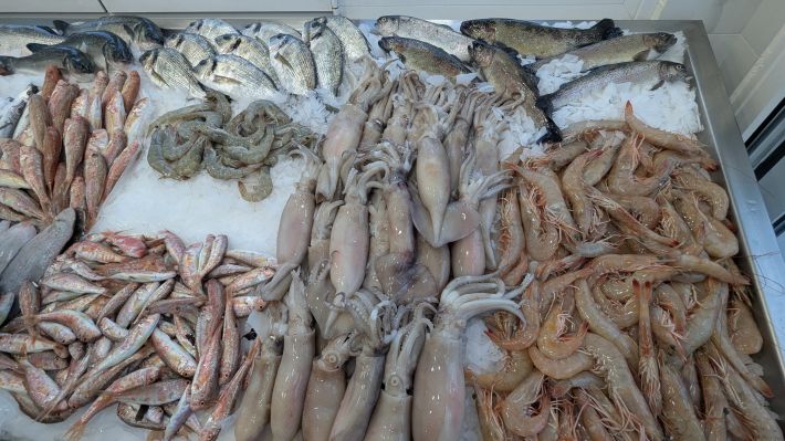 PXL_20251203_063837848.MP