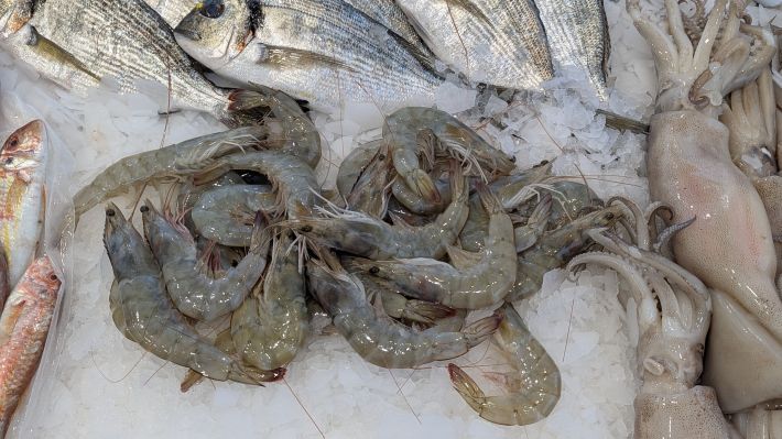 PXL_20251203_063909220.MP