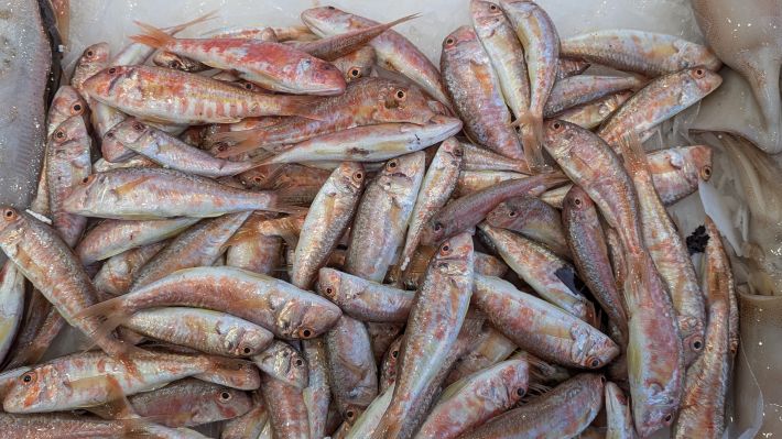 PXL_20251203_063912287.MP