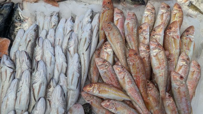 PXL_20251203_063924064.MP