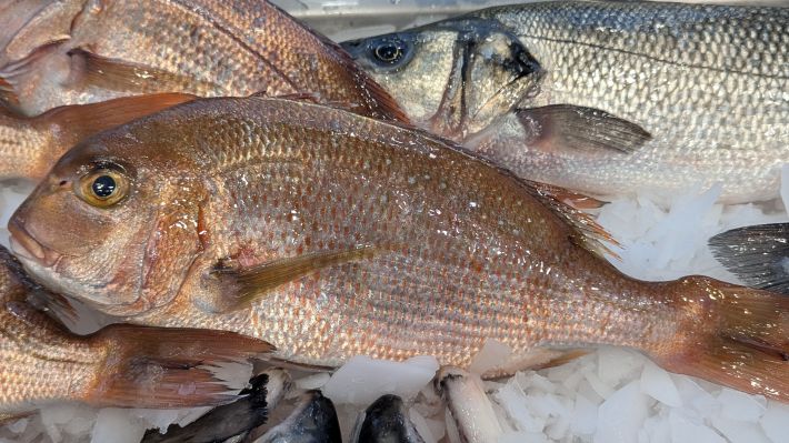 PXL_20251203_063933900.MP